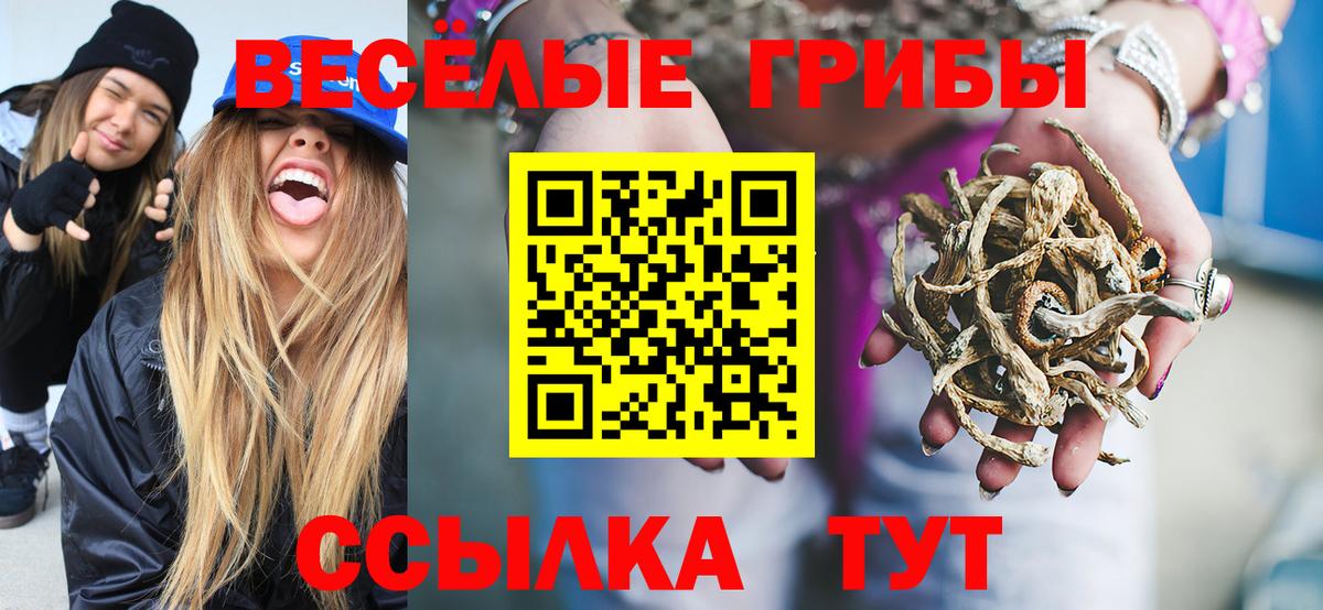 Кызыл  Галлюциногенные грибы Psilocybine cubensis  Вход с VPN 