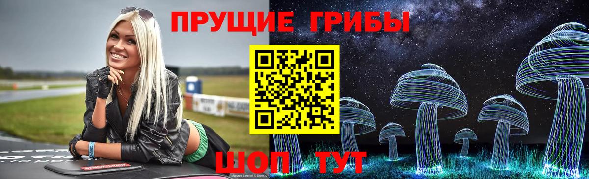 Галлюциногенные грибы мицелий Кызыл
